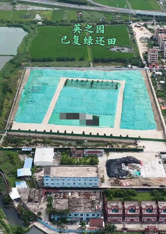 开云电子英之园已复绿还田涉事干部被问责下一步计划暴光本地再回应